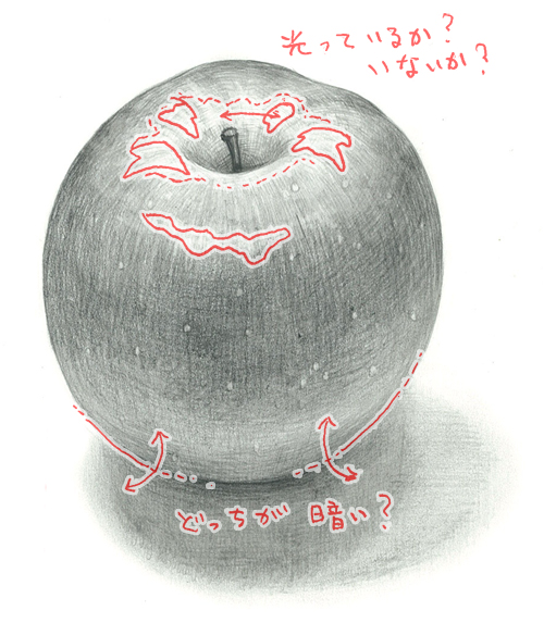 添削017.りんごのデッサン