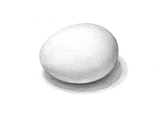 卵のデッサン