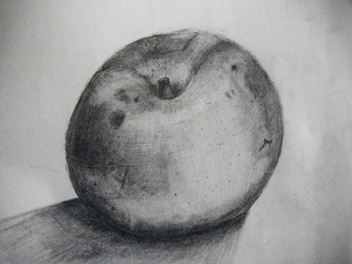 梨のデッサン