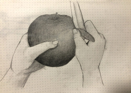 りんご、ナイフ、手のデッサン