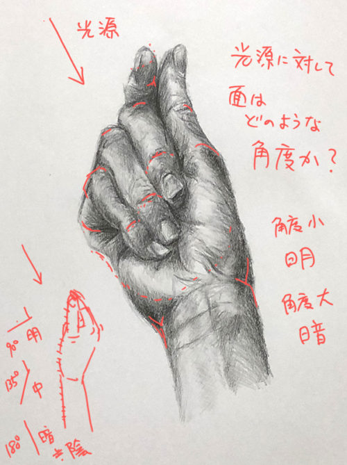 手のデッサン