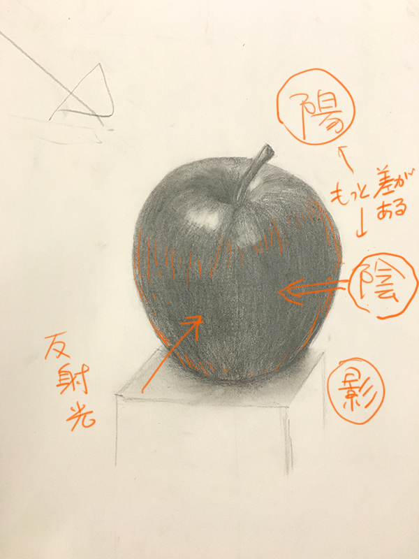 投稿306:りんごのデッサン